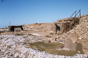 Elizabeth Bay: view of the road - 1979