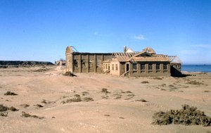 Elizabeth Bay: A large building complex. Unknown