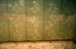 Elizabeth Bay: A beautiful wallpaper in one of the houses