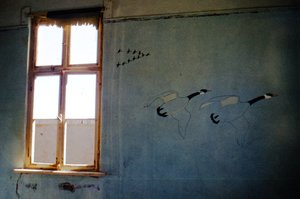 Elizabeth Bay: Beautiful wall paintings of palm trees