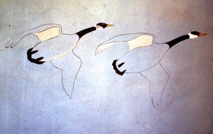 Elizabeth Bay: Beautiful wall paintings of palm trees