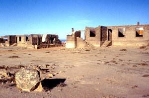 Elizabeth Bay: Views of old and deteriorating houses