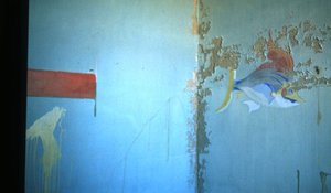 Elizabeth Bay. Ruins of old buildings