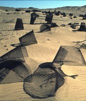 Charlottental: Sieves used to extract the precious stones from the desert sand
