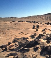 Charlottental: Sieves used to extract the precious stones from the desert sand