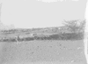 ONR_PRI_ONR-M.3_img_037524_thumb.gif