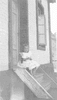 ONR_PRI_ONR-M.2_img_037548_thumb.gif