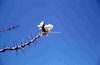 NAN_SL_KAOKO_img_036007_thumb.gif