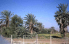 NAN_SL_KAOKO_img_036017_thumb.gif
