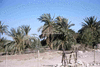 NAN_SL_KAOKO_img_036018_thumb.gif