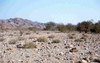 NAN_SL_KAOKO_img_036020_thumb.gif