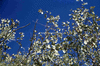 NAN_SL_KAOKO_img_036026_thumb.gif