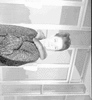 ONR_NEG_GRELL_img_032591_thumb.gif