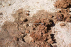 NAN_SL_KAOKO_img_036030_thumb.gif