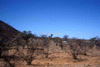 NAN_SL_KAOKO_img_036065_thumb.gif