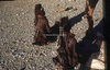 NAN_SL_KAOKO_img_036092_thumb.gif