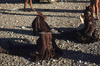 NAN_SL_KAOKO_img_036094_thumb.gif