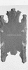 ONR_L-1029-47_31443_img_001443_thumb.gif