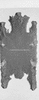 ONR_L-1029-47_31444_img_001444_thumb.gif