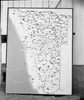 roth_gen_swak_31307_img_001307_thumb.gif
