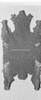 ONR_L-1029-47_31445_img_001445_thumb.gif