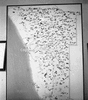 roth_gen_swak_31309_img_001309_thumb.gif