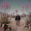 ONR_SLI_VARIOUS_img.037215_thumb.gif