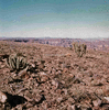 ONR_SLI_VARIOUS_img.037225_thumb.gif
