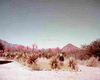 ONR_SLI_VARIOUS_img.037243_thumb.gif