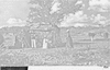 ONR_NEG_VARIOUS_img_037500_thumb.gif