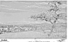 ONR_NEG_VARIOUS_img_037501_thumb.gif