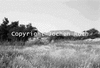 roth_kaoko_img_035327_thumb.gif