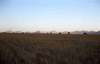 NAN_SL_KAOKO_img_036148_thumb.gif