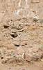 NAN_SL_KAOKO_img_036151_thumb.gif