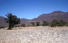 NAN_SL_KAOKO_img_036183_thumb.gif