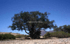 NAN_SL_KAOKO_img_036184_thumb.gif