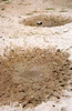 NAN_SL_KAOKO_img_036194_thumb.gif