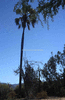 NAN_SL_KAOKO_img_036198_thumb.gif