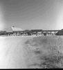 roth_etosha_img_035220_thumb.gif