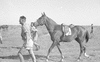 ONR_L-1146-49_31474_img_001474_thumb.gif
