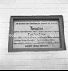 roth_etosha_img_035222_thumb.gif
