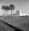 roth_etosha_img_035223_thumb.gif