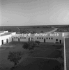roth_etosha_img_035224_thumb.gif