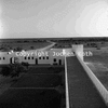 roth_etosha_img_035225_thumb.gif
