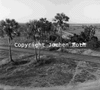 roth_etosha_img_035226_thumb.gif