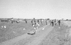 ONR_L-1146-49_30378_img_000378_thumb.gif