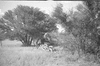 ONR_L-1280-51_30978_img_001007_thumb.gif