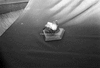 ONR_NEG_ADMI_img_033596_thumb.gif