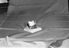 ONR_NEG_ADMI_img_033598_thumb.gif