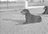 ONR_L-1167-49_30876_img_000876_thumb.gif